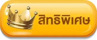 สิทธิพิเศษ หวย ruay